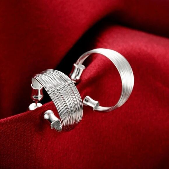 STERLING SILVER MULTI LINE EARRINGS - Picture 1 of 3